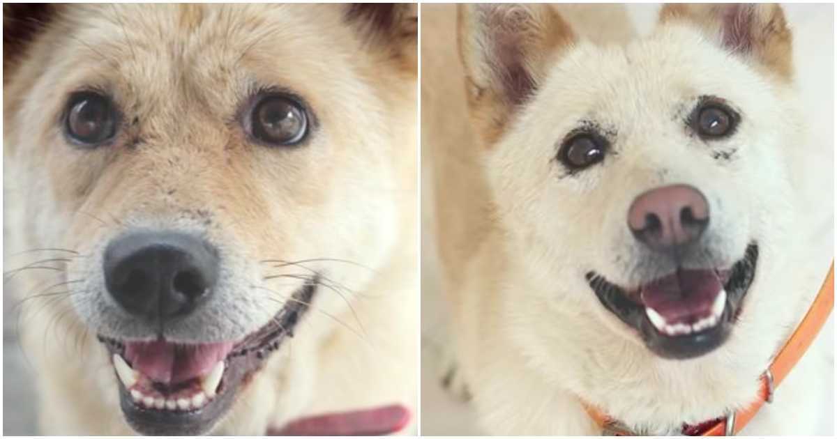 A baba segítséget kér a beteg nővérnek, és felszólította őket, hogy kövessék, és az övére feküdjön