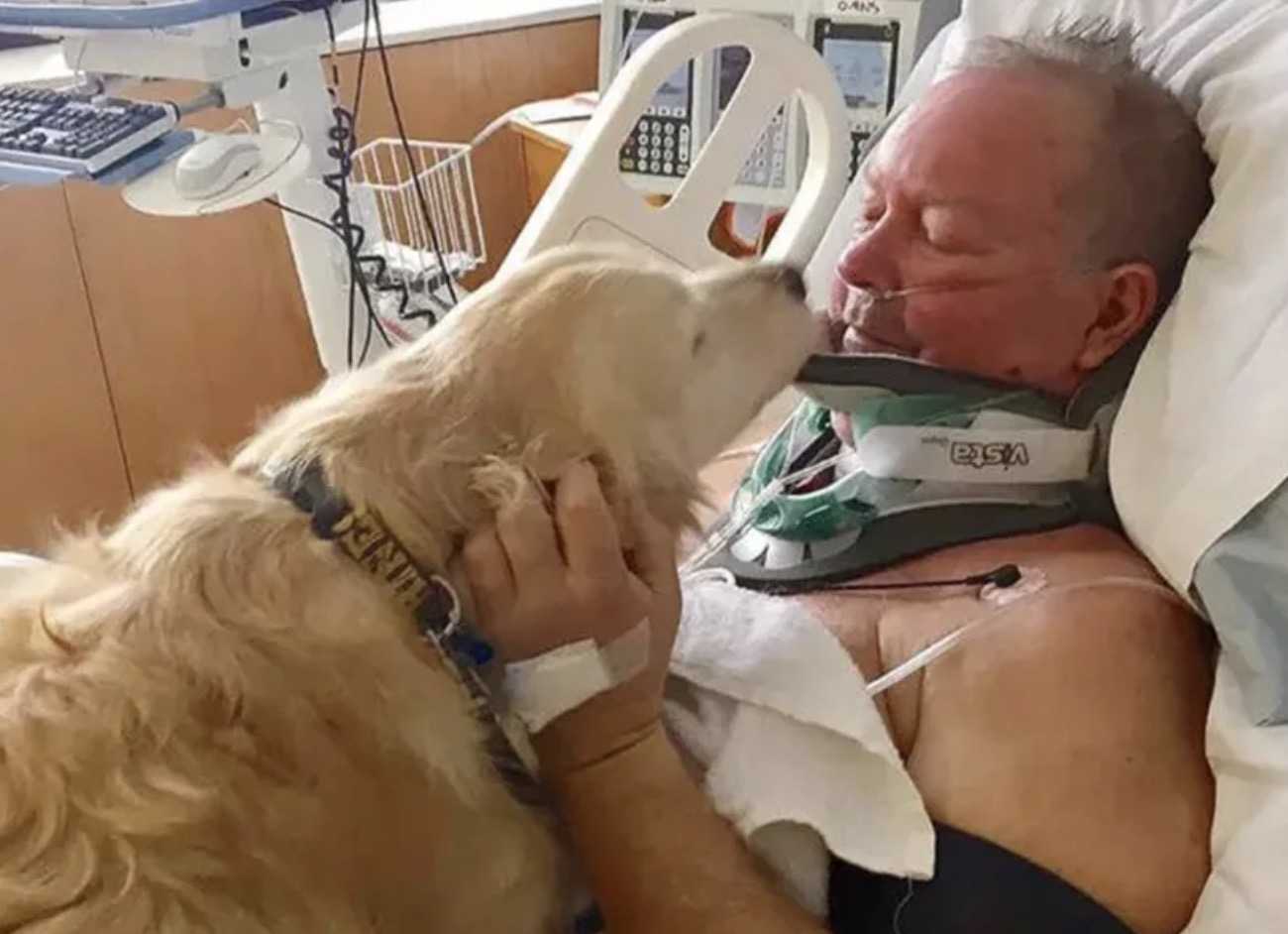 A Golden Retriever megmentette az ember életét, aki eltörte a nyakát, és halálra fagyott